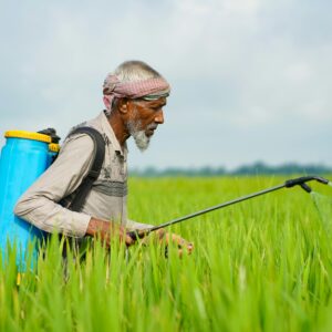 Home gourvar natural bio pesticide
